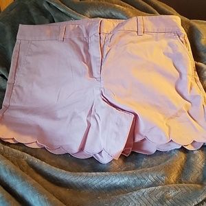 Loft NWT Pink Scalloped 4" Inseam Shorts Size 14